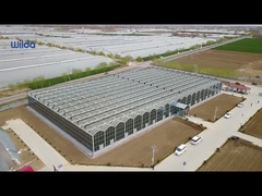 گلخانه شیشه ای