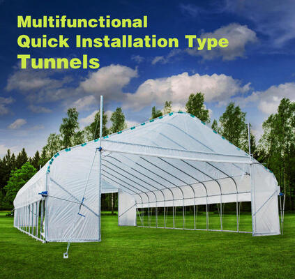 High Quality Galvanized Frame Tunnel Ventilation Single-Span Factory Price Hot Galvanized Steel Frame Plastic Sheet Single Span Greenhouse Tunnel Greenhouse for Agricultural Vegetable