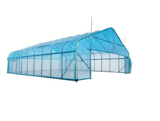 High Quality Galvanized Frame Tunnel Ventilation Single-Span Factory Price Hot Galvanized Steel Frame Plastic Sheet Single Span Greenhouse Tunnel Greenhouse for Agricultural Vegetable
